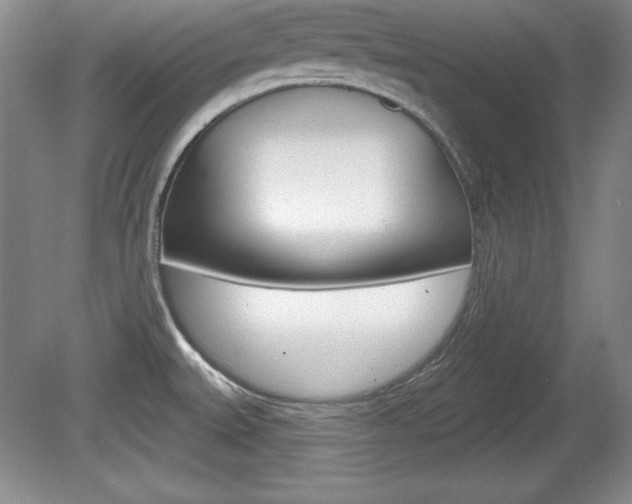 X0000080181527200612081121