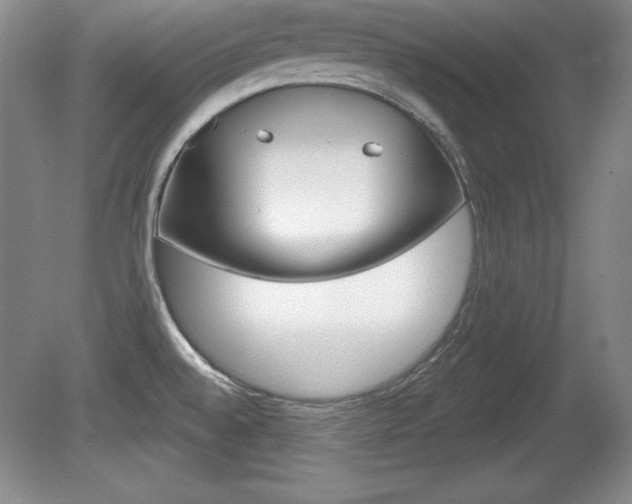 X0000080181528200612081121
