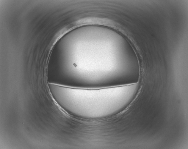 X0000080181529200612081121
