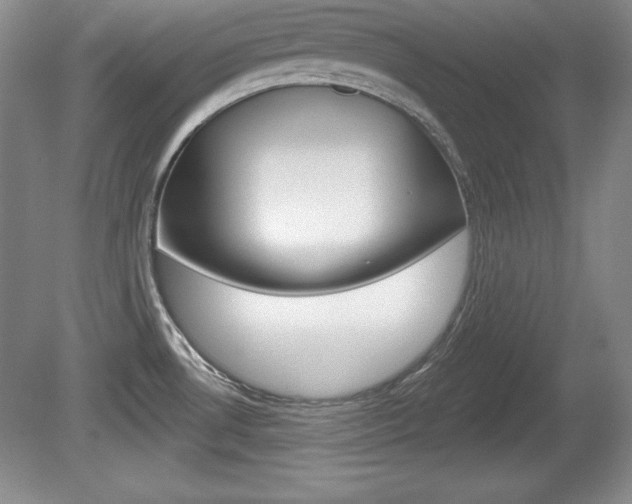 X0000080181530200612081121