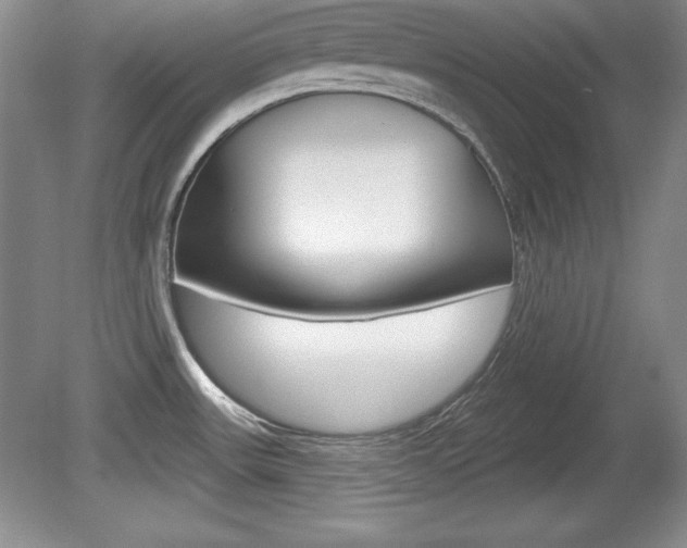X0000080181531200612081121