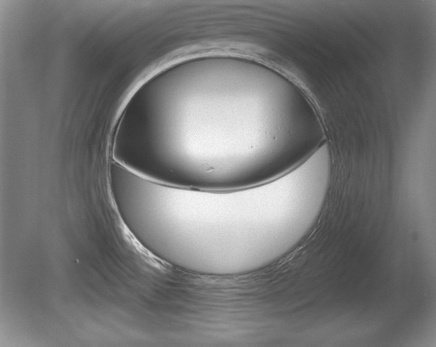X0000080181532200612081121