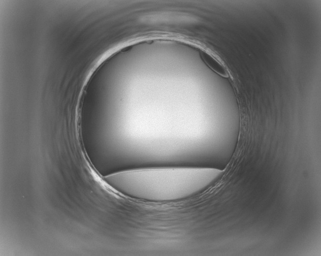 X0000080181535200612081121