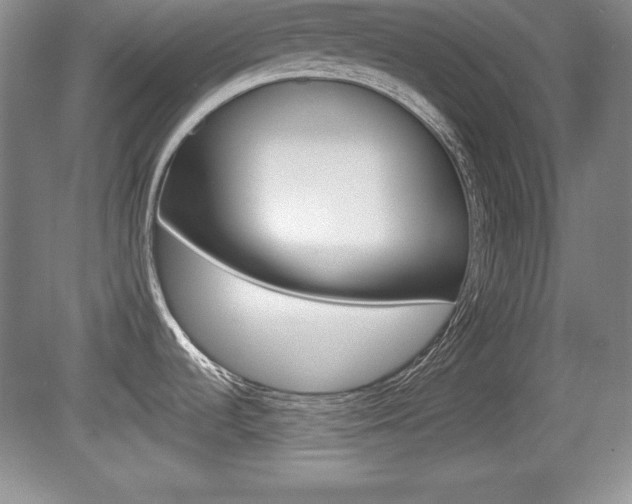 X0000080181536200612081121