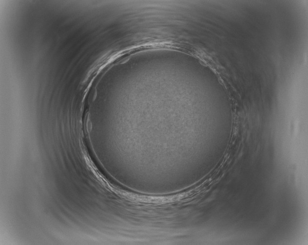 X0000080180002200612081413