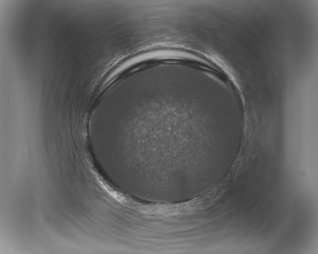 X0000080180009200612081413