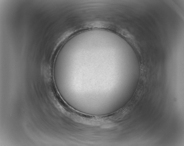 X0000080180012200612081413