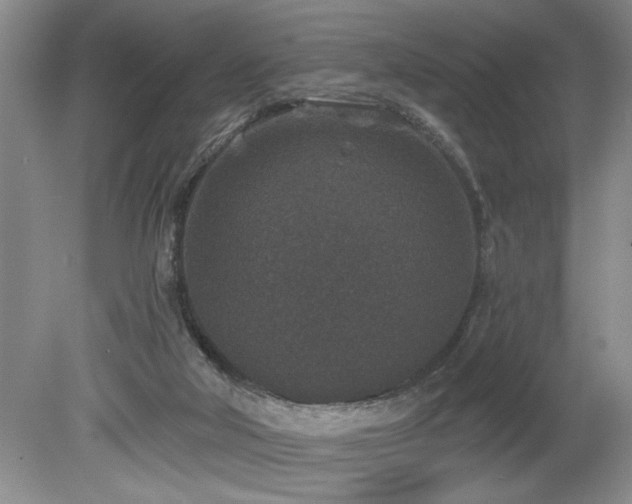 X0000080180018200612081413