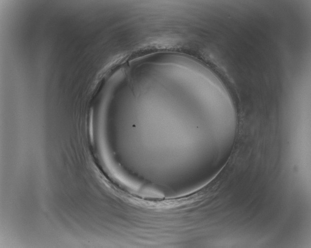 X0000080180019200612081413