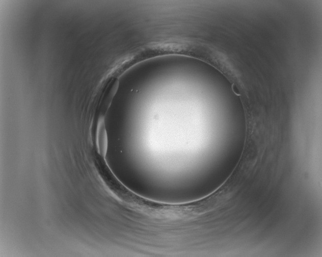 X0000080180020200612081413