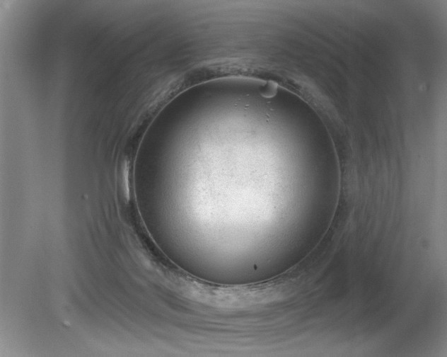 X0000080180022200612081413