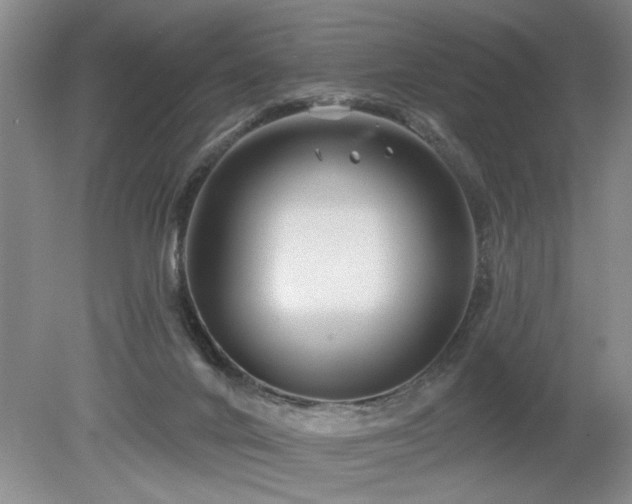 X0000080180024200612081413