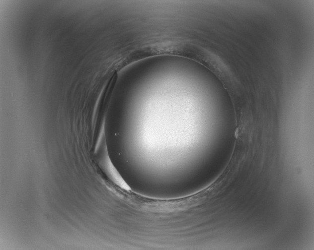 X0000080180025200612081413