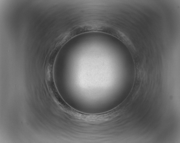 X0000080180026200612081413