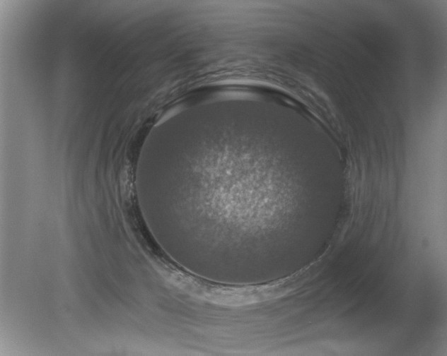 X0000080180029200612081413