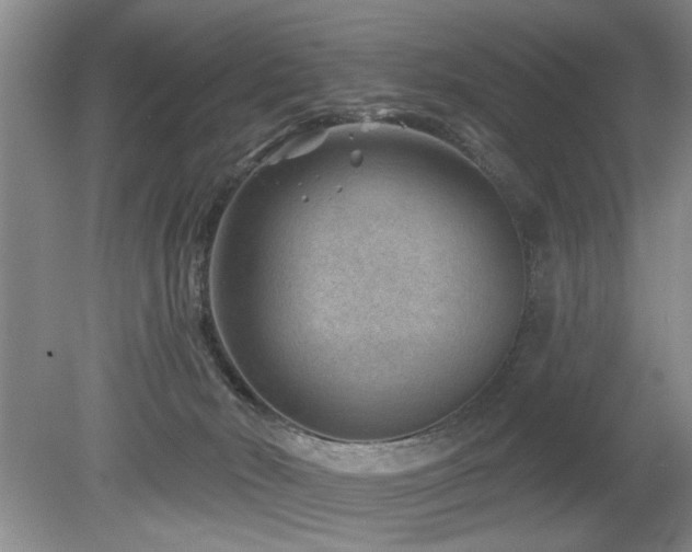 X0000080180030200612081413