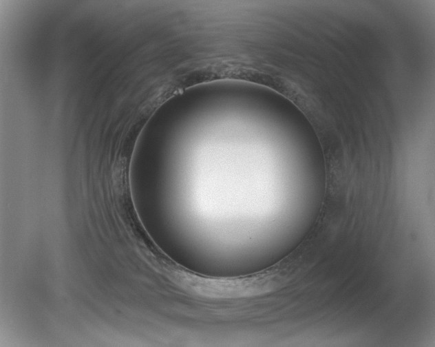 X0000080180034200612081413