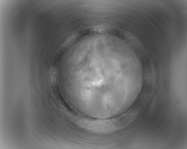 X0000080180036200612081413