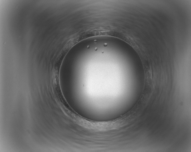 X0000080180038200612081413