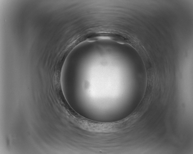 X0000080180044200612081412