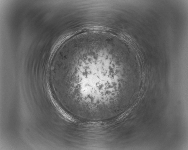 X0000080180049200612081412