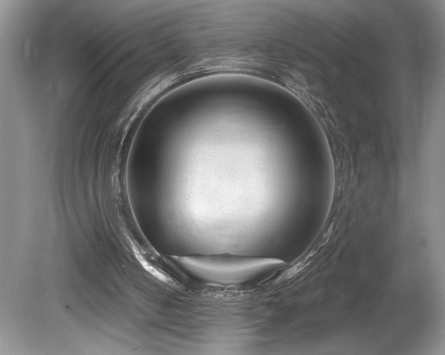 X0000080180050200612081412