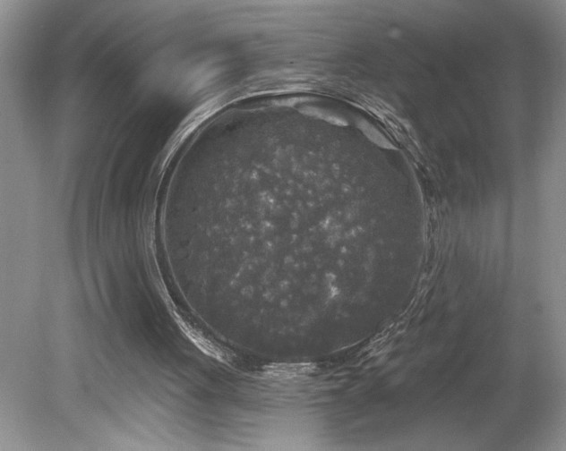 X0000080180051200612081412