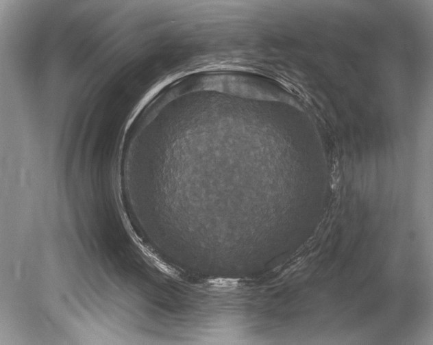 X0000080180052200612081412