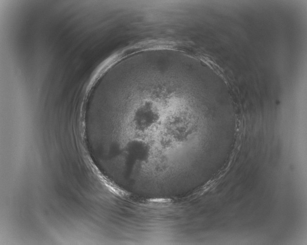 X0000080180053200612081412