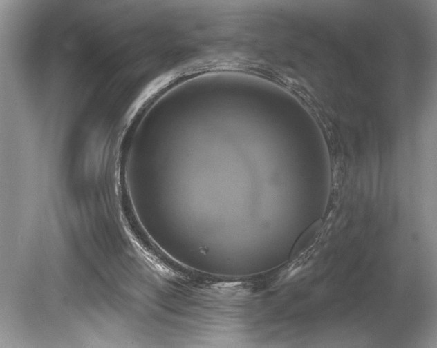 X0000080180054200612081412