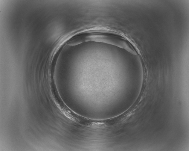 X0000080180055200612081412