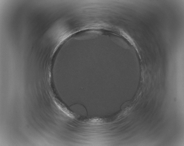 X0000080180059200612081412