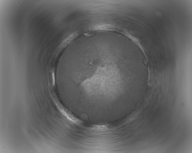 X0000080180061200612081412