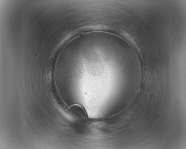 X0000080180063200612081412