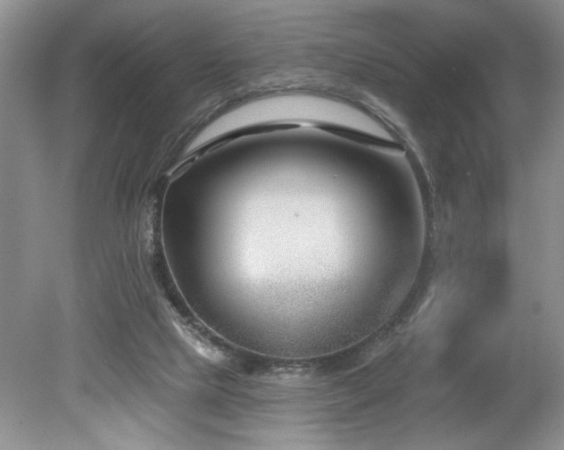 X0000080180065200612081412