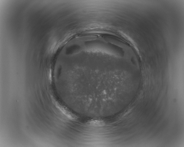 X0000080180067200612081412