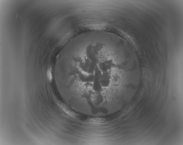 X0000080180069200612081412