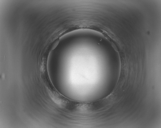 X0000080180074200612081412