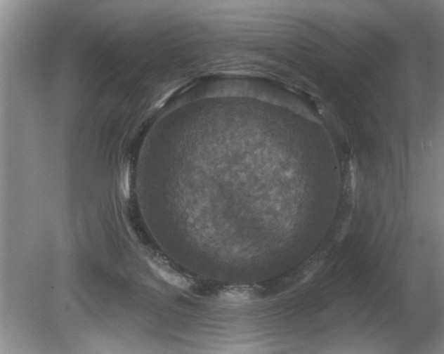 X0000080180076200612081412