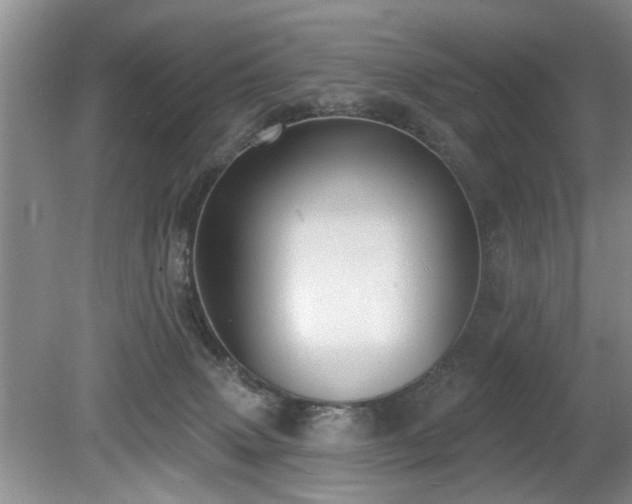 X0000080180083200612081412