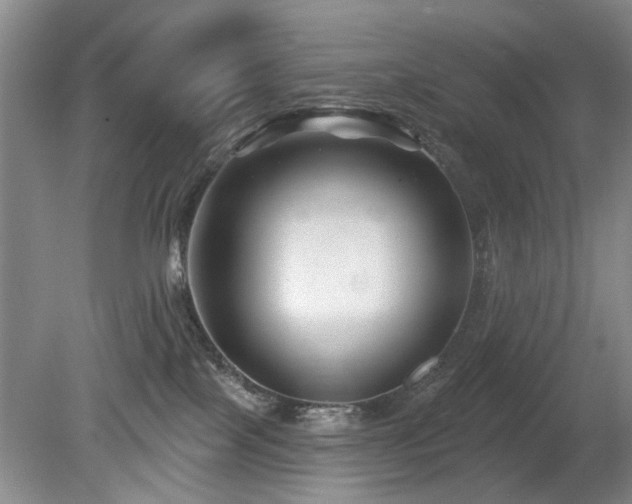 X0000080180089200612081412