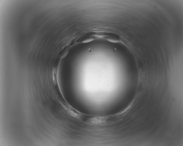 X0000080180094200612081412