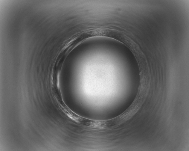 X0000080180096200612081412