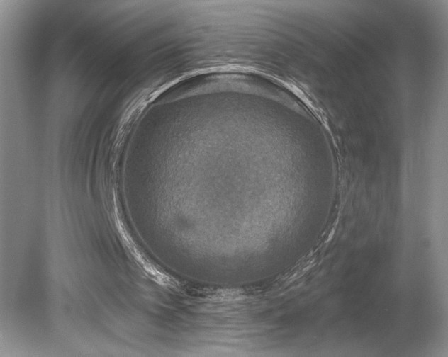 X0000080180097200612081412