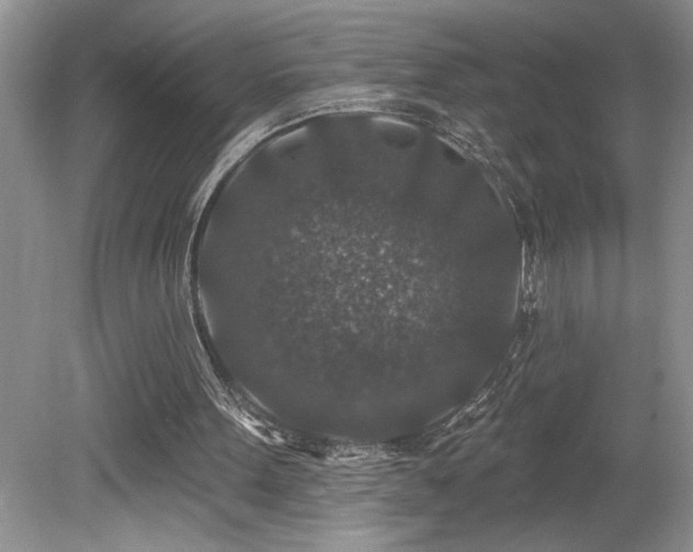 X0000080180099200612081412