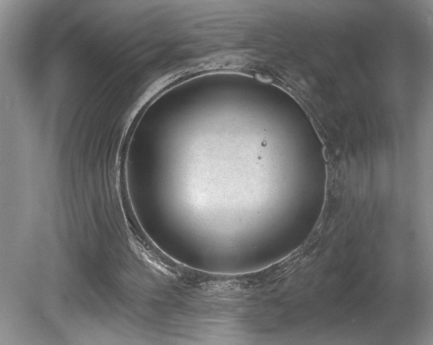 X0000080180100200612081411