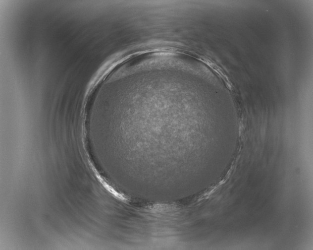 X0000080180101200612081411