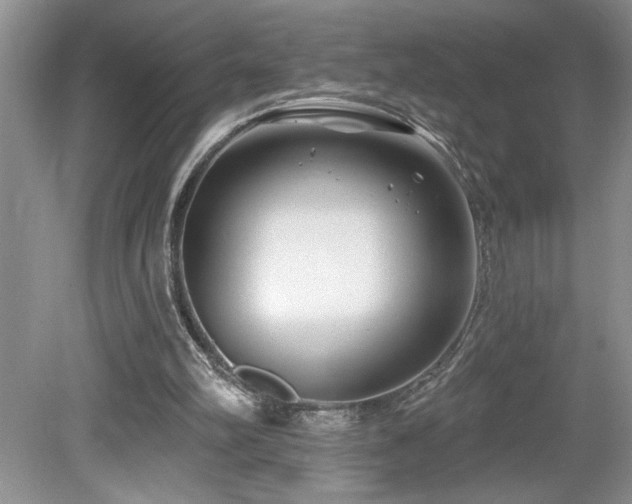 X0000080180102200612081411