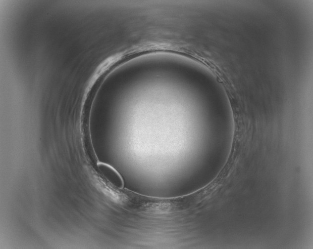 X0000080180104200612081411