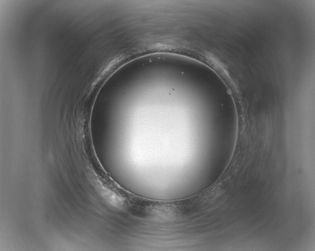 X0000080180106200612081411